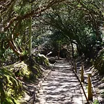 Americas Viñas Arona (Tenerife)