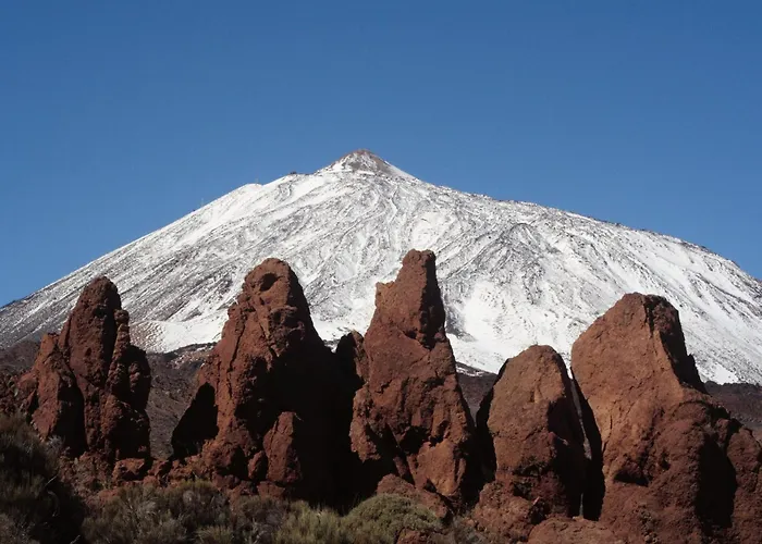 شقة Americas Vinas