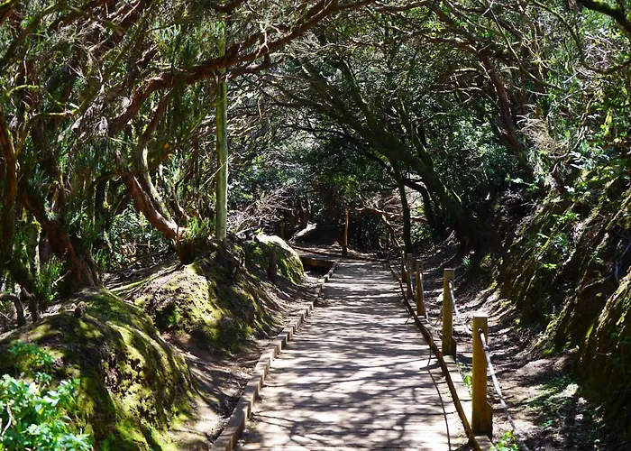 Americas Vinas Arona (Tenerife)