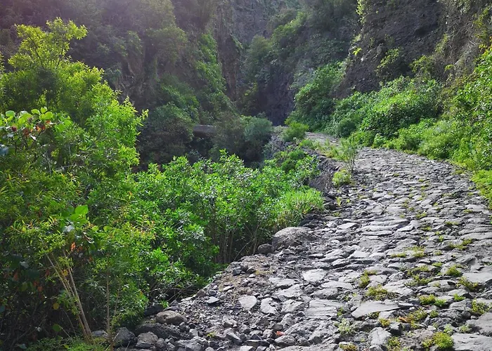 شقة Americas Vinas