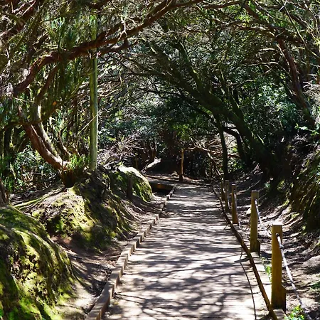 Americas Vinas アロナ